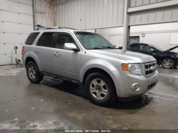  Salvage Ford Escape