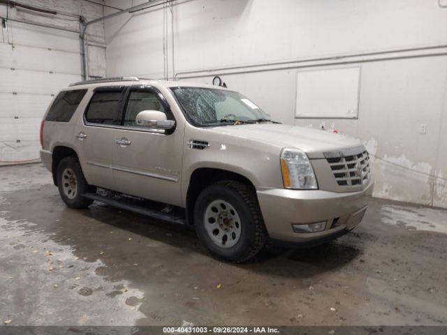  Salvage Cadillac Escalade