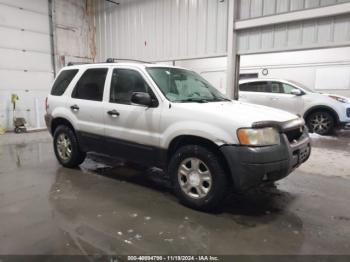  Salvage Ford Escape