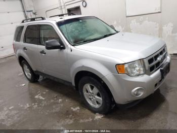  Salvage Ford Escape