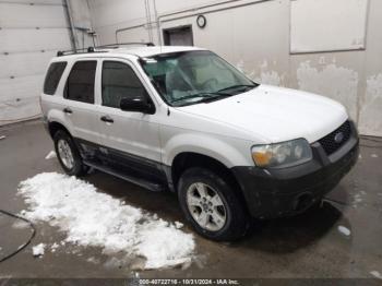  Salvage Ford Escape