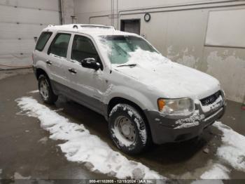  Salvage Ford Escape