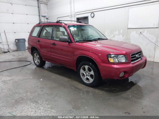  Salvage Subaru Forester