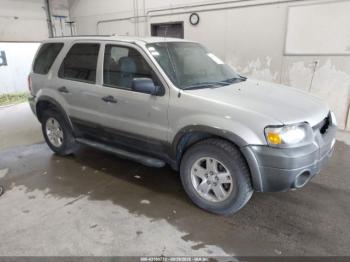  Salvage Ford Escape