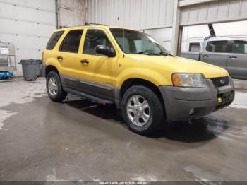  Salvage Ford Escape