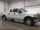 Ford F-150 Xl Image 11