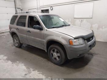  Salvage Ford Escape