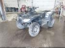 Arctic Cat 700 Image 3