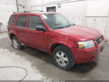  Salvage Ford Escape