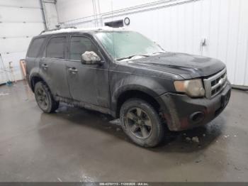  Salvage Ford Escape
