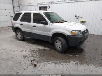  Salvage Ford Escape
