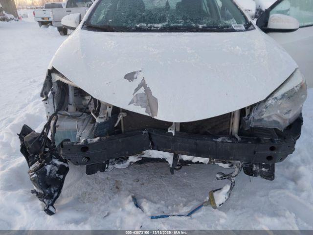 Toyota Corolla L Image 5